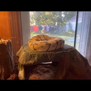 Meet your Posher, Sara